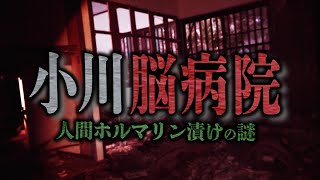 【心霊】小川脳病院 人間ホルマリン漬けの謎【橋本京明】【閲覧注意】 [upl. by Tiffanie]