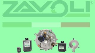 Zavoli CNG Kit Fitting Parts  Maruti Auto Gas Point [upl. by Inhoj895]