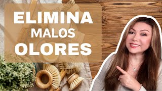 AROMA DELICIOSO EN TU HOGAR CON ESTAS IDEAS Y TIPS 🏠 EXCELENTES OPCIONES PARA AROMATIZAR TU CASA 🏠 [upl. by Leiruh]