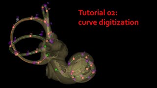 MorphoDig Tutorial 02 curve digitization [upl. by Irtak]