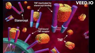 mechanism of action of etanercept [upl. by Estus]