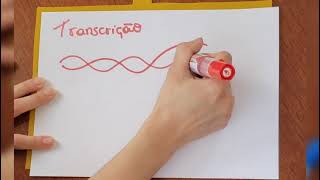 A transcrição do DNA em menos de 1 minuto [upl. by Seyer]