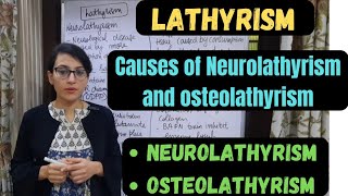 Lathyrism  Neurolathyrism  Osteolathyrism  Causes of Neurolathyrism and Osteolathyrism [upl. by Nomelihp856]