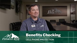 Benefits Checking  Pinnacle Bank [upl. by Vite]