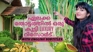 Best Affordable Luxury resort in Vandiperiyar  Springdale Heritage Resort  English Subtitles [upl. by Gaylord713]