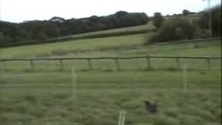 LOWBRIDGE FARM CAMPSITE  BREMHILL  WILTSHIRE  ENGLAND [upl. by Hanas]