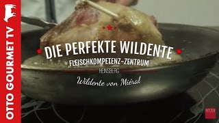 Wildente perfekt zubereiten [upl. by Eiramrefinnej]