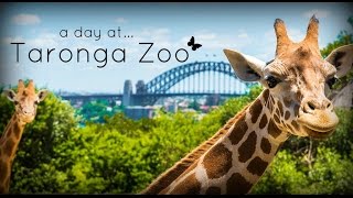 Taronga Zoo Sydney Australia [upl. by Marys402]