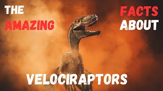 Surprising Facts About Velociraptors You Didn’t Know Dino 9 Facts velociraptor dinosaur [upl. by Bristow421]