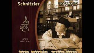 Michoel Schnitzler  מיכאל שניצלער מיין קינד טרעף מיך [upl. by Katherin]