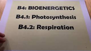 B4  Bioenergetics in a Nutshell [upl. by Ut]