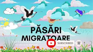 Pasarile migratoare  Sosesc pasarile calatoare Activitate educativa cu sunete [upl. by Nairde448]