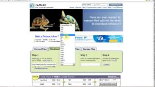 How to Use Zamzar com [upl. by Htebezile579]