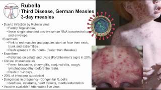 Measles and vaccines Exanthems and enanthems [upl. by Ahsa487]