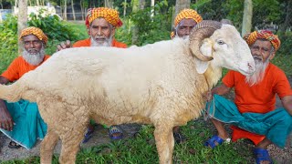 Big Sheep Mutton Kosha  Full Garlic Mutton Kala Vuna  Lamb Curry for Old Age Special People [upl. by Kristine]