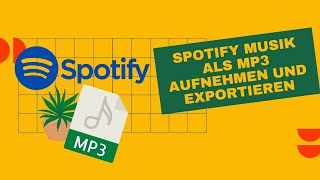 SpotifyMusik als MP3 exportieren [upl. by Keely]