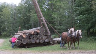 Forest History Center Real Horsepower Days  Logging [upl. by Ayisan]