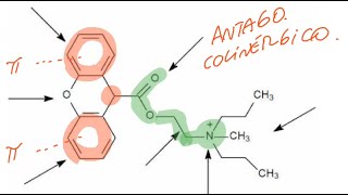 Farmacoquímica del sistema nervioso autónomo Control de Colinérgicos y adrenérgicos [upl. by Lyns]