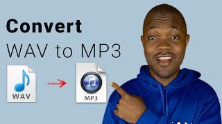 How to Convert WAV to MP3 on Android Free amp Efficient [upl. by Undis]