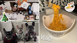 Vlog  christmas haul decoratingcleaning amp my fave ramen recipe [upl. by Chiou]