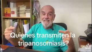 ¿QUIENES TRANSMITEN LA TRIPANOSOMIASIS [upl. by Sunshine]