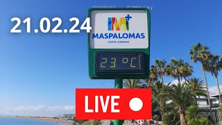 🔴🌡️LIVE Gran Canaria Playa del Ingles February 21 2024 Weather Wetter [upl. by Esirec]