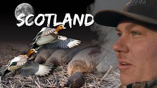 NIGHT HUNTING DUCKS and DECOYING GIANT FLOCKS of GEESE  Scotland Waterfowl Hunting Part 2 [upl. by Aillicsirp]