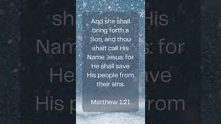 Verse of the day Matthew 121 shorts Christmas Jesus TheFirstNoel God MerryChristmas [upl. by Aronael]