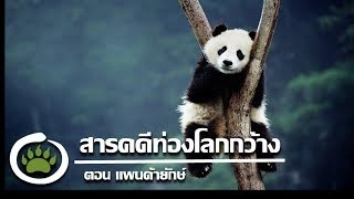 สารคดีท่องโลกกว้าง ตอน หมีแพนด้ายักษ์ [upl. by Bently]