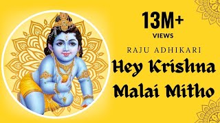 Hey krishna Malai Mitho Bamsi  Raju Adhikari srdbhakti Bhajan  Nepali Bhajan [upl. by Boaten]