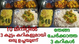 10 മിനിറ്റിൽ 3 കൂട്ടം കറികളുമായി ഉച്ചയൂണ്  Easy 10 Minutes Veg Lunch Malayalam  Easy Lunch Menu [upl. by Scrivens]