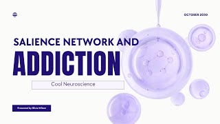 What is the Salience Network and How Does it Affect Addiction [upl. by Nonnairb]