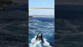 Norway Saltstraumen Maelstrom shortsvideo [upl. by Remliw99]