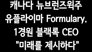 캐나다 뉴브런즈윅주 유플라이마 Formulary1경원블랙록CEOquot미래를 제시하다quot수백배폭등은quot4차산업quot [upl. by Dumm]