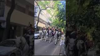 Granaderos a caballo cantando marcha San Lorenzo [upl. by Dorise]