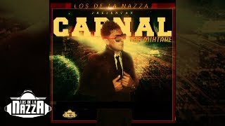 Carnal  Sintiendome ft J Balvin Remix Official Audio [upl. by Esau]