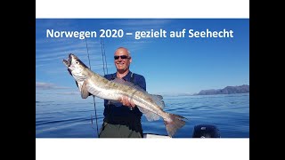 Norway Fishing 2020  gezielt auf Seehecht [upl. by Aenneea]