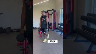 Mastering the Dumbbell RDL Unlock Your Hamstring Strength amp Mobility [upl. by Ennayram541]