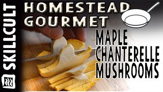 Maple Chanterelle Mushrooms My Best Chanterelle Recipe How to Cook Candy Caps [upl. by Mella]