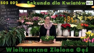 Sekunda dla Kwiatów  Wielkanoc cz 1  S05 E02 floristic diy Easter ideas [upl. by Kinsler]