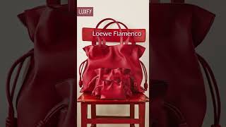 6 Loewe Bags That Are Worth the Investment shorts [upl. by Amme]