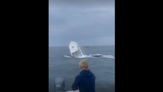 WATCH Breaching whale flips boat off New Hampshire coast [upl. by Nivlag995]