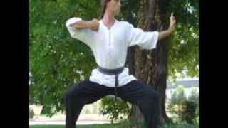 M° Gianluca Taddei  kung fu tai chi chuan yoga [upl. by Ransell]