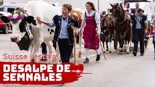 Désalpe de Semsales du 05102024 🇨🇭  Vaches Chèvres amp Traditions 🐄🐐🌼 Désalpe semsales [upl. by Wampler]