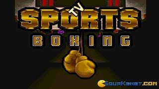 TV Sports Boxing gameplay PC Game 1991 [upl. by Anola]