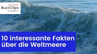 10 interessante Fakten über die Weltmeere [upl. by Soinotna345]