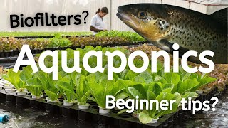 What is Aquaponics and How Does it Work [upl. by Aitak]