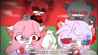 Fantasizeanimation meme  Collab with maggiechan0709 [upl. by Smiley988]