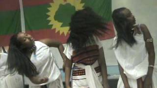 Oromo Cultural Show1 [upl. by Dorwin569]