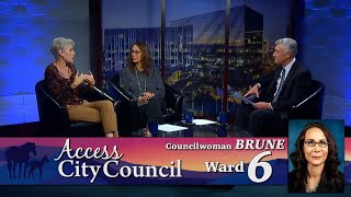 Access City Council with Nancy Brune [upl. by Siskind]